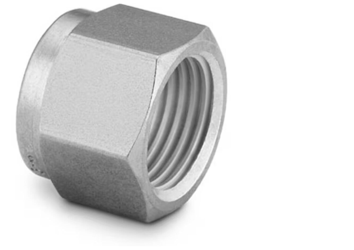 316 Stainless Steel Nut for 1/16 in. Swagelok Tube Fitting.? SS-102-1 - Image 1