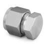 Swagelok 316 Stainless Steel Cap SS-600-C 3/8 in. OD Tubing Seal