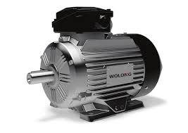 WOLONG 350 HP Electric Motor WOLONG Electric Motor 350 HP 4000VWOLONG Electric Motor, 350 HP, 4000V, 3-phase, CGIIF enclosure, foot mount, 3570 RPM, 70 mm shaft