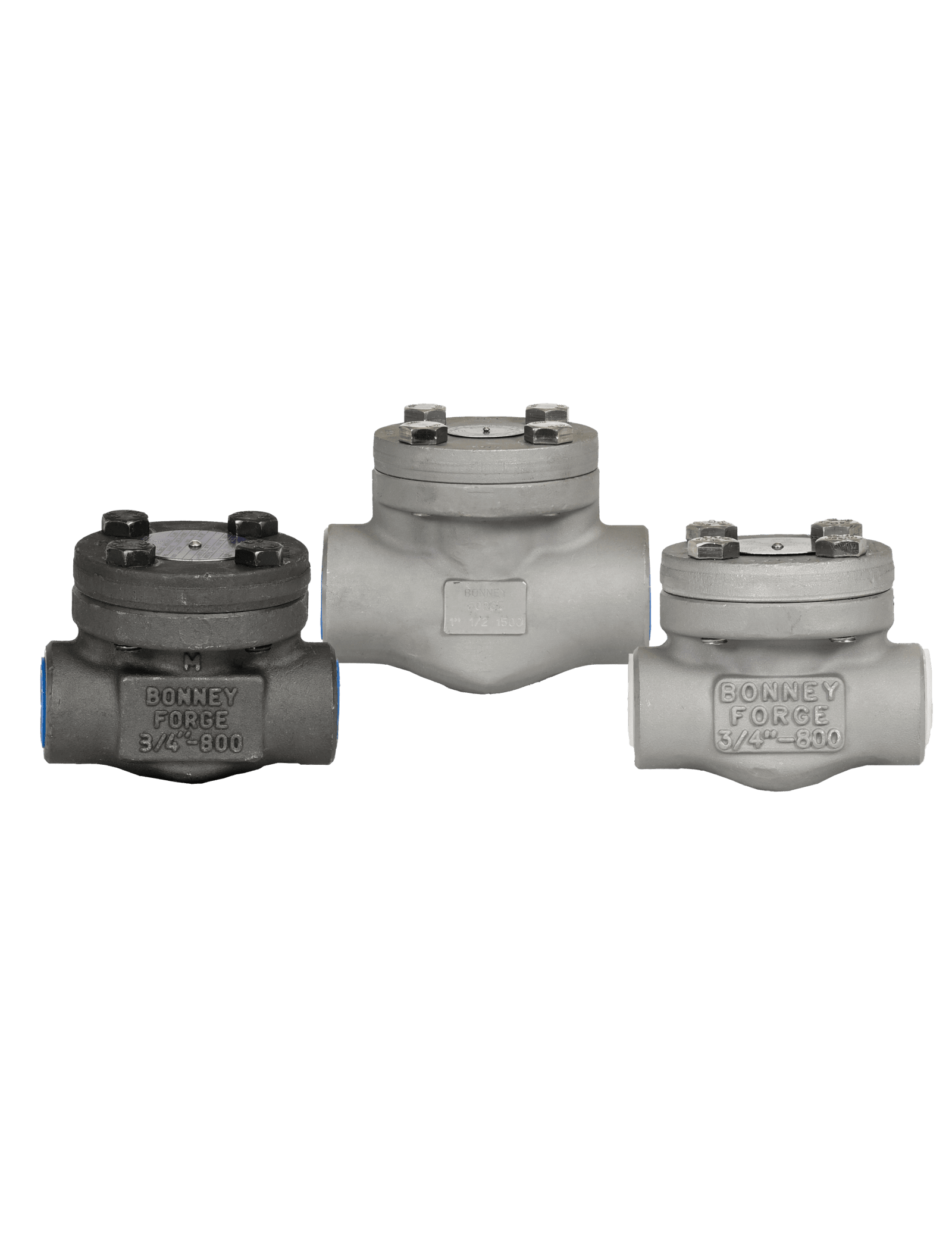 Bonney Forge Swing Check Valve 1-68S-RF Bonney Forge 316SS Grafoil Swing Check Valve 1-68S-RF 2-Inch