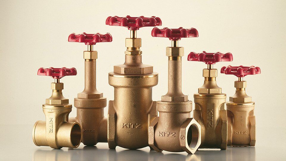 Kitz 2" 300# 316SS RF HFS BB Gate Valve