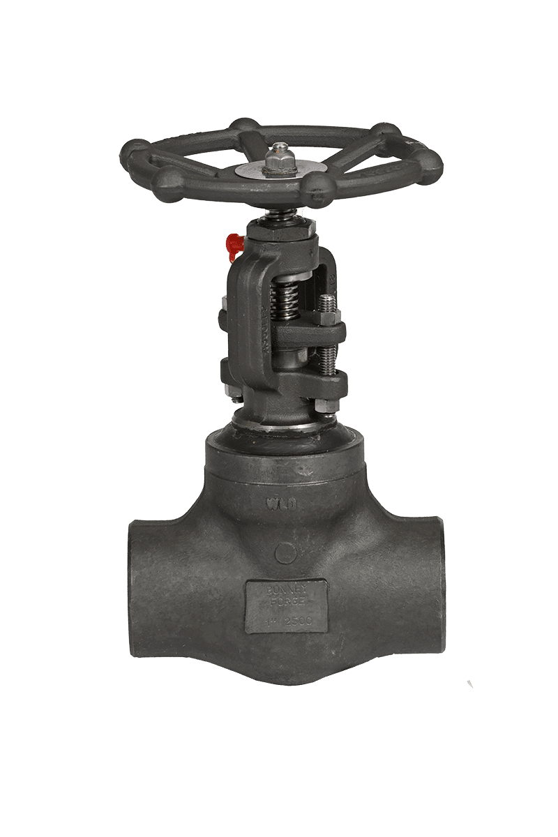 Bonney Valve Globe 1 1/2" 800# F316L THD HFS BB HL-38L-T-LE