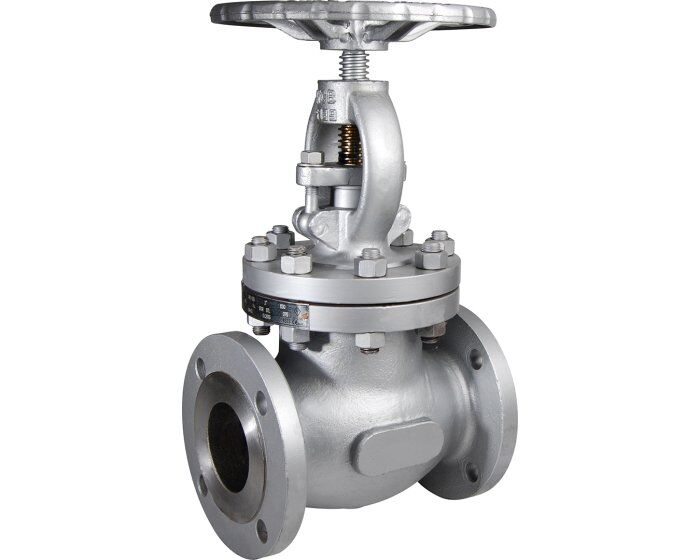Valveco 10” Globe Valve 300# A216