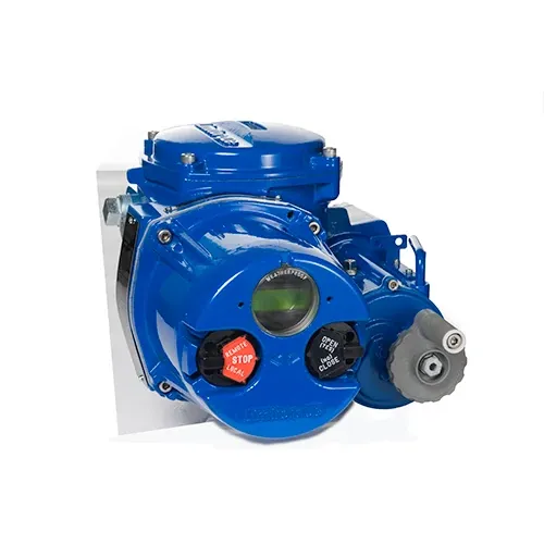 Flowserve Limitorque QX-1 Electric Actuator Flowserve Limitorque QX-1 Electric Actuator