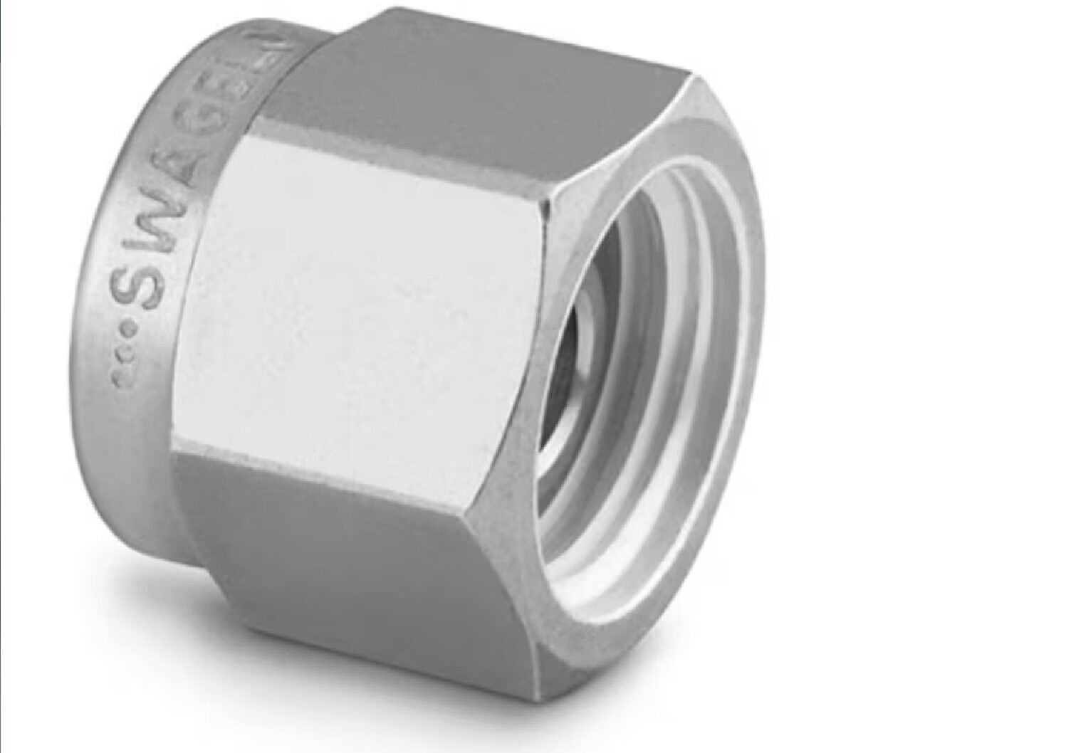 Stainless Steel Swagelok Tube Fitting, Plug, 1/16 in. Tube OD. SS-100-P - Image 1