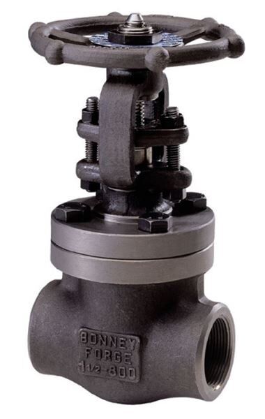 Bonney Forge BFEGAS022-1 Gate Valve 1/2" 800# ASTM A105N