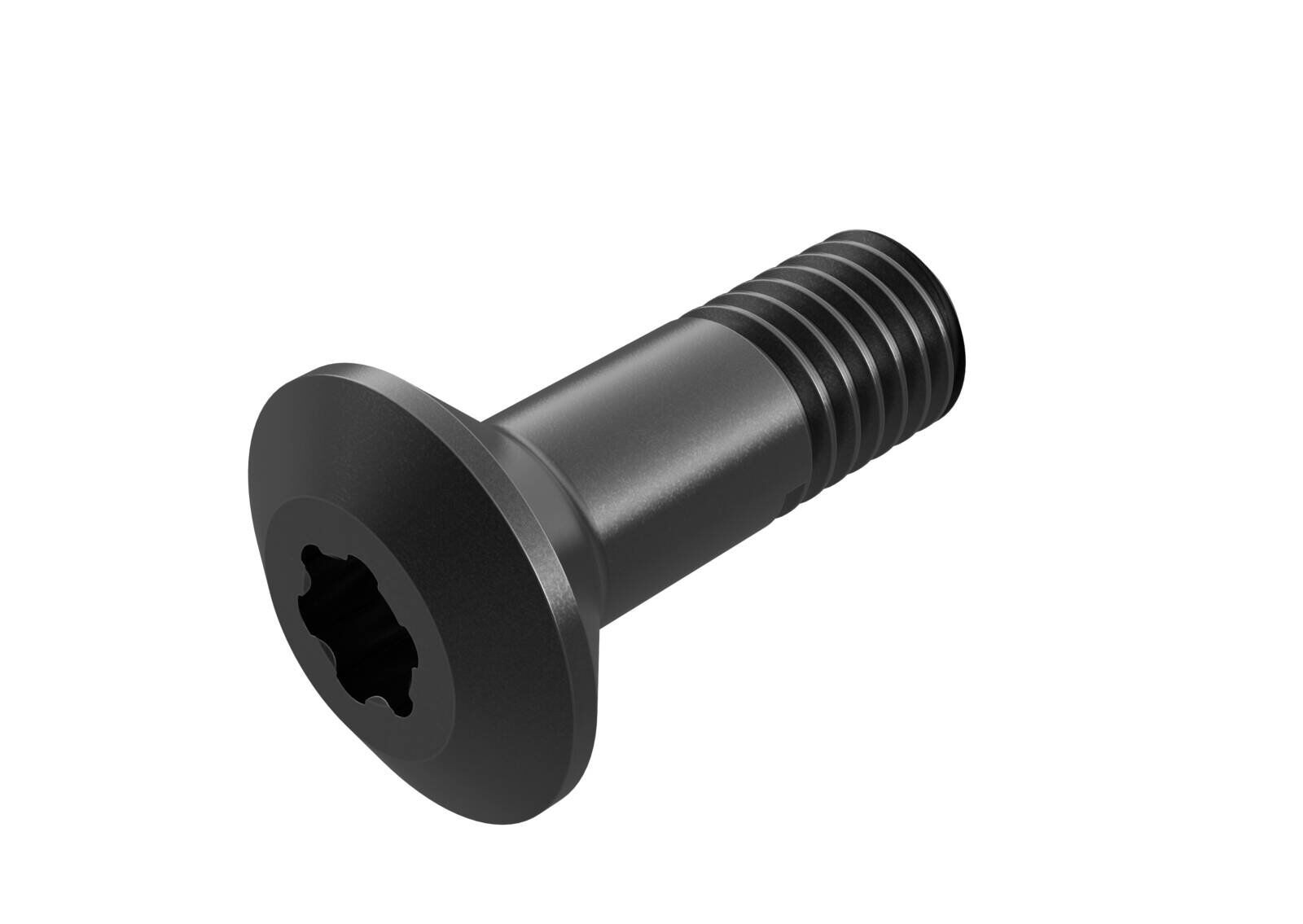 Seco WS1620‑T20P screw