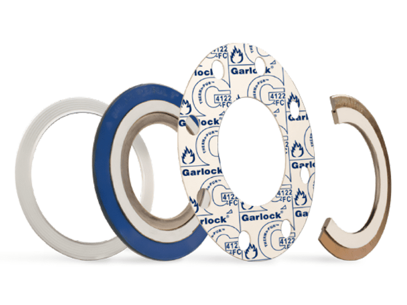 Garlock Therma-Pur 316L Series B gasket DOM0303070352003B 52 NPS